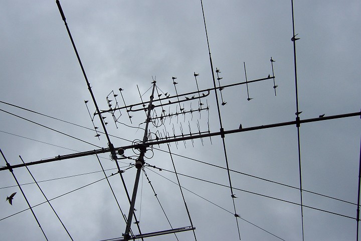 antennen0015.jpg